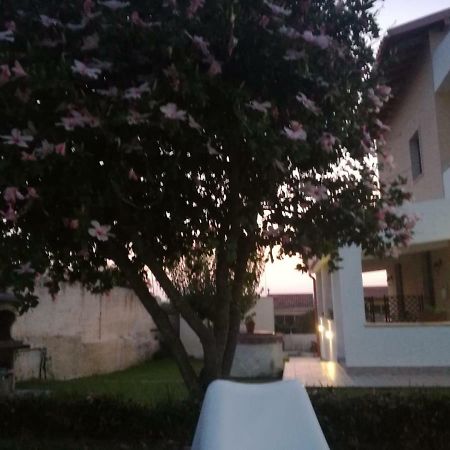 La Casa Delle Farfalle Bed and Breakfast Συρακούσες Εξωτερικό φωτογραφία