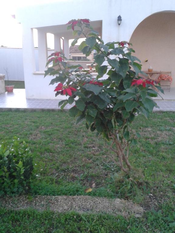 La Casa Delle Farfalle Bed and Breakfast Συρακούσες Εξωτερικό φωτογραφία