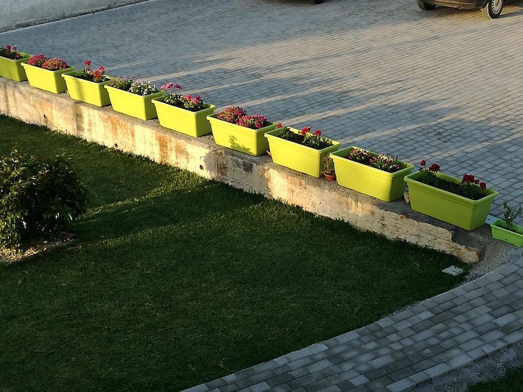 La Casa Delle Farfalle Bed and Breakfast Συρακούσες Εξωτερικό φωτογραφία