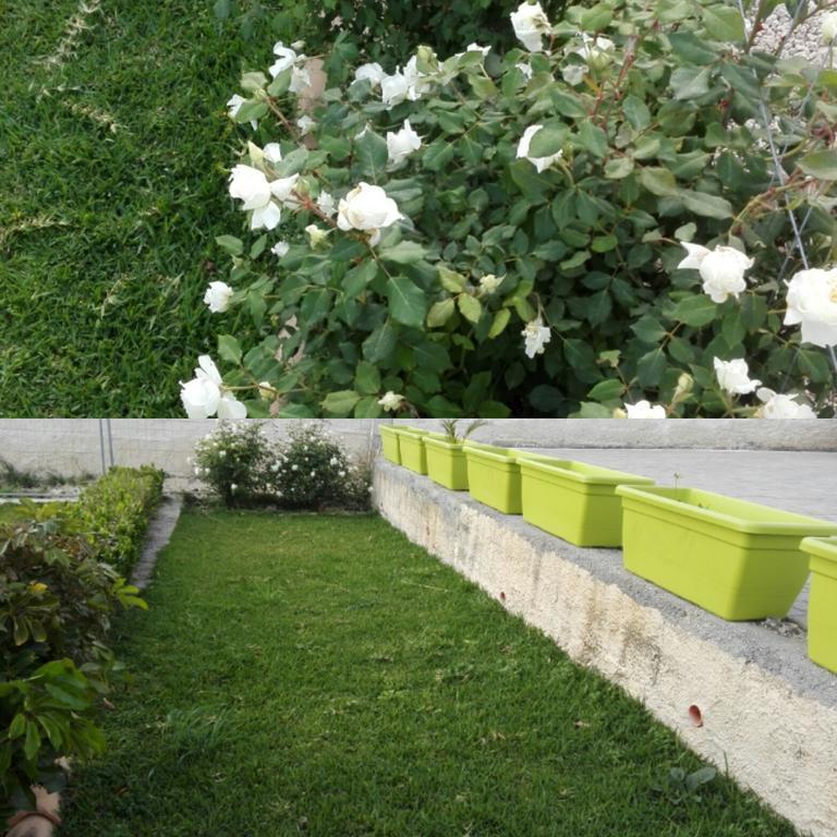 La Casa Delle Farfalle Bed and Breakfast Συρακούσες Εξωτερικό φωτογραφία