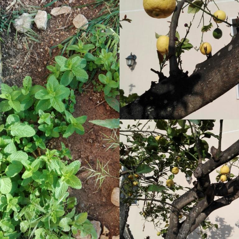 La Casa Delle Farfalle Bed and Breakfast Συρακούσες Εξωτερικό φωτογραφία
