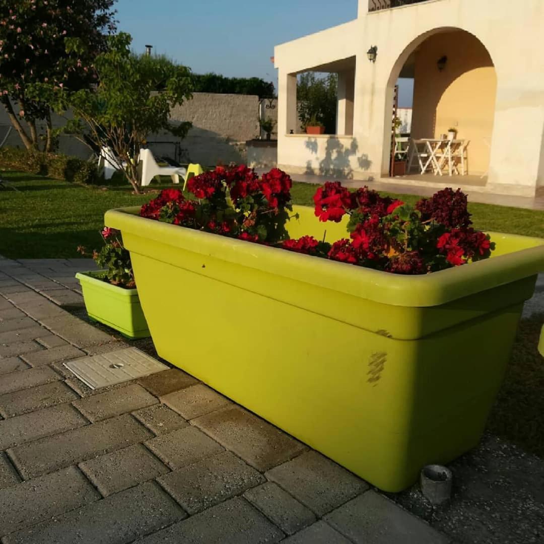 La Casa Delle Farfalle Bed and Breakfast Συρακούσες Εξωτερικό φωτογραφία